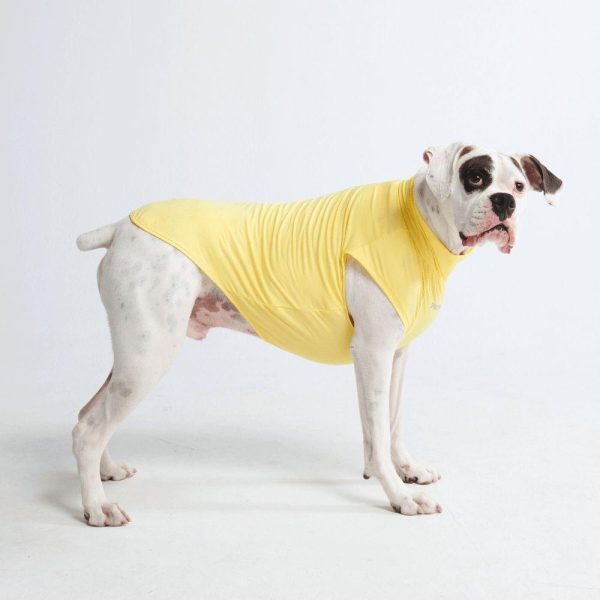 Sunblock Dog T-Shirts | Spark Paws Dog T-Shirts Dog T-Shirts Dog T-Shirts