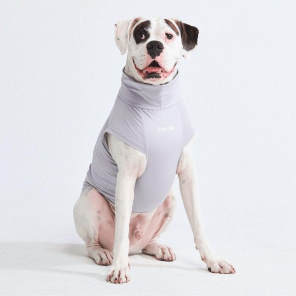 Sunblock Dog T-Shirts | Spark Paws Dog T-Shirts Dog T-Shirts Dog T-Shirts