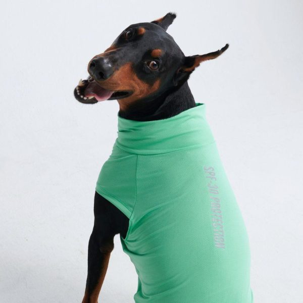 Sunblock Dog T-Shirts | Spark Paws Dog T-Shirts Dog T-Shirts Dog T-Shirts