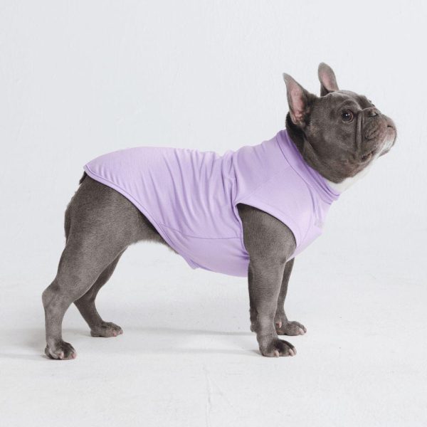 Sunblock Dog T-Shirts | Spark Paws Dog T-Shirts Dog T-Shirts Dog T-Shirts