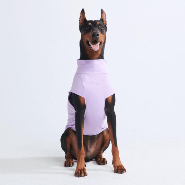 Sunblock Dog T-Shirts | Spark Paws Dog T-Shirts Dog T-Shirts Dog T-Shirts