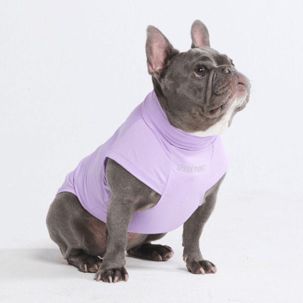 Sunblock Dog T-Shirts | Spark Paws Dog T-Shirts Dog T-Shirts Dog T-Shirts