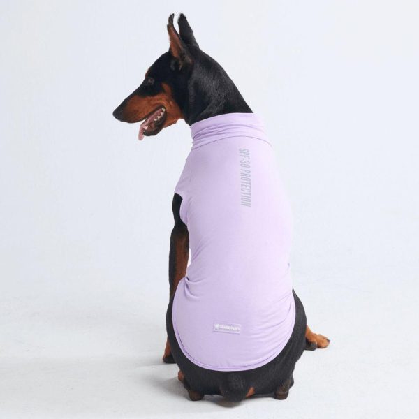 Sunblock Dog T-Shirts | Spark Paws Dog T-Shirts Dog T-Shirts Dog T-Shirts