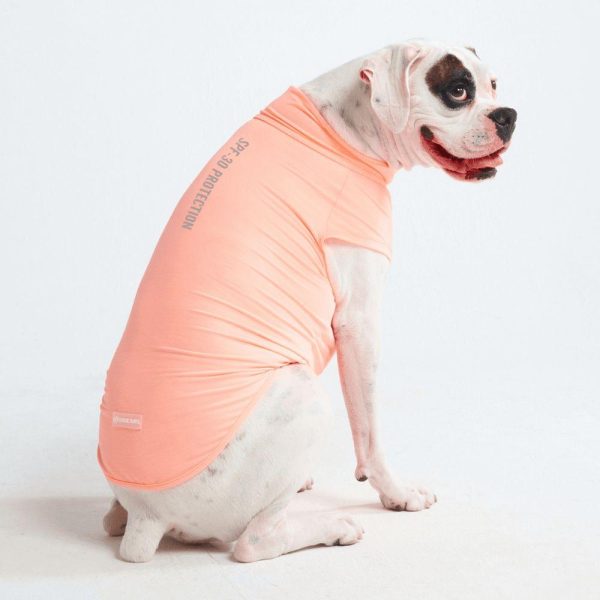 Sunblock Dog T-Shirts | Spark Paws Dog T-Shirts Dog T-Shirts Dog T-Shirts