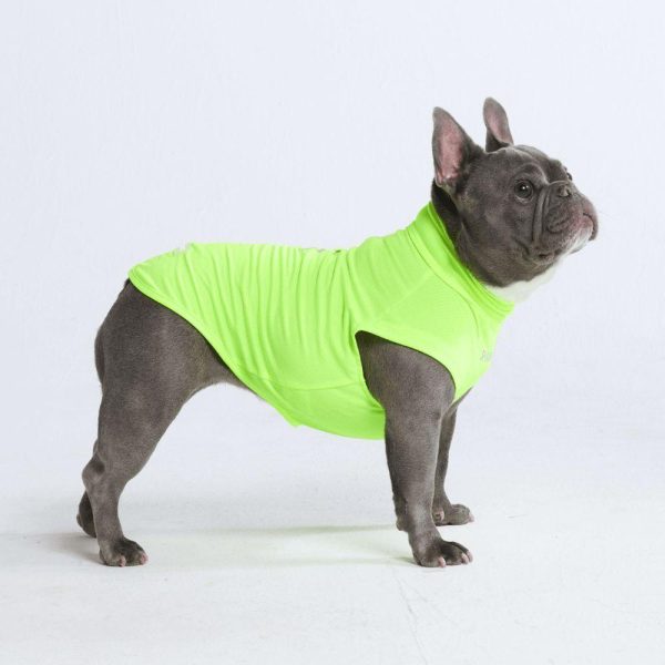 Sunblock Dog T-Shirts | Spark Paws Dog T-Shirts Dog T-Shirts Dog T-Shirts