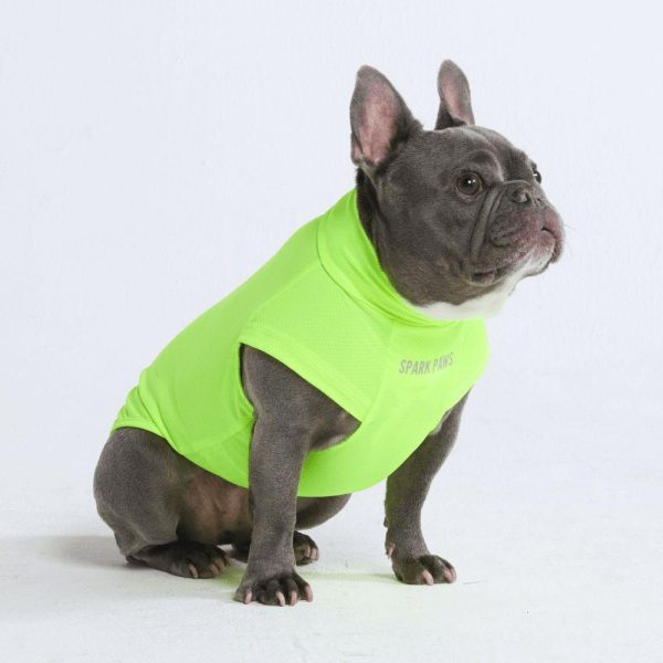 Sunblock Dog T-Shirts | Spark Paws Dog T-Shirts Dog T-Shirts Dog T-Shirts