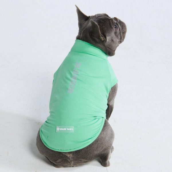 Sunblock Dog T-Shirts | Spark Paws Dog T-Shirts Dog T-Shirts Dog T-Shirts