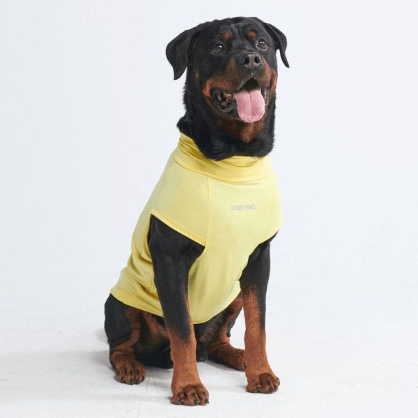 Sunblock Dog T-Shirts | Spark Paws Dog T-Shirts Dog T-Shirts Dog T-Shirts