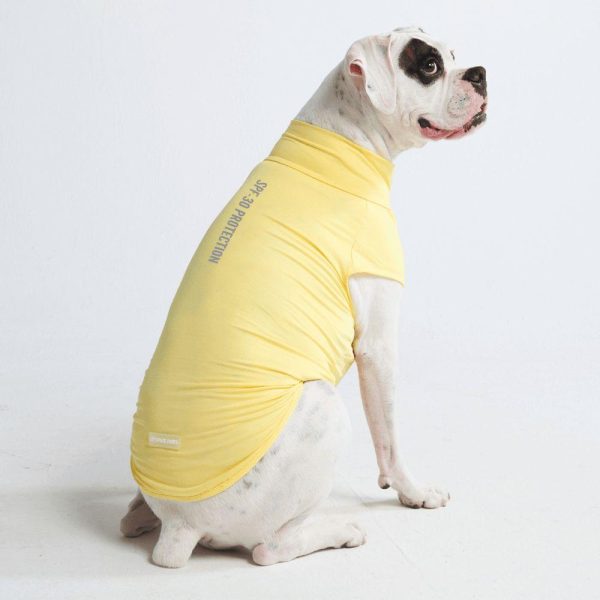 Sunblock Dog T-Shirts | Spark Paws Dog T-Shirts Dog T-Shirts Dog T-Shirts