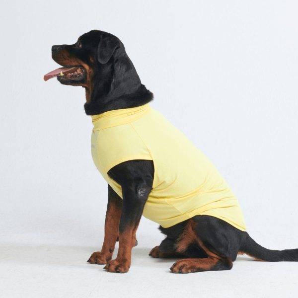 Sunblock Dog T-Shirts | Spark Paws Dog T-Shirts Dog T-Shirts Dog T-Shirts