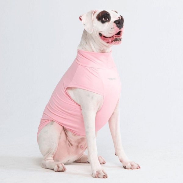 Sunblock Dog T-Shirts | Spark Paws Dog T-Shirts Dog T-Shirts Dog T-Shirts