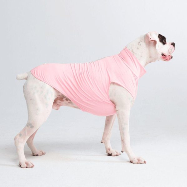 Sunblock Dog T-Shirts | Spark Paws Dog T-Shirts Dog T-Shirts Dog T-Shirts