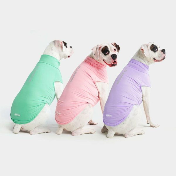 Sunblock T-Shirt 3 Pack | Spark Paws Dog T-Shirts Dog T-Shirts Dog T-Shirts