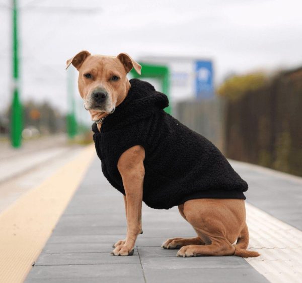 Teddy Sherpa Dog Jacket – Black | Spark Paws Dog Jacket Coat Dog Jacket Coat Black