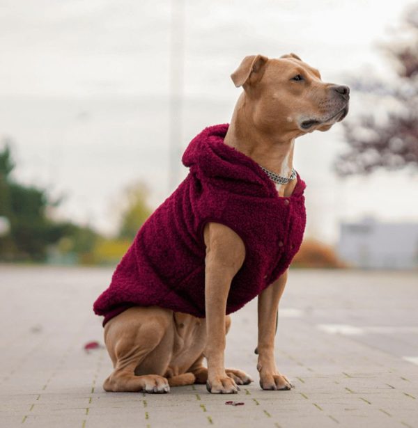 Teddy Sherpa Dog Jacket – Maroon [Size 4XL] | Spark Paws Dog Jacket Coat Dog Jacket Coat Dog Jacket Coat