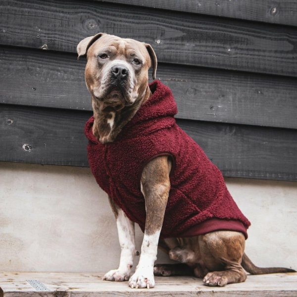 Teddy Sherpa Dog Jacket – Maroon [Size 4XL] | Spark Paws Dog Jacket Coat Dog Jacket Coat Dog Jacket Coat