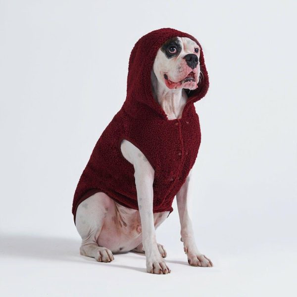 Teddy Sherpa Dog Jacket – Maroon [Size 4XL] | Spark Paws Dog Jacket Coat Dog Jacket Coat Dog Jacket Coat