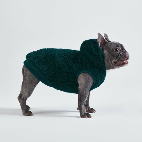 Teddy Sherpa Dog Jacket – Pine Green | Spark Paws Dog Jacket Coat Dog Jacket Coat Dog Jacket Coat