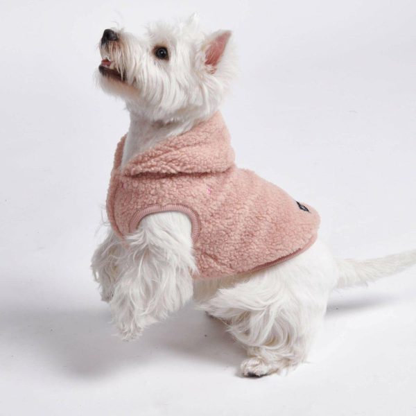 Teddy Sherpa Dog Jacket – Pink | Spark Paws Dog Jacket Coat Dog Jacket Coat Dog Jacket Coat