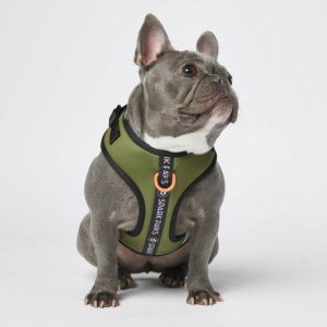 Ultra Soft Activewear Dog Harness – Green | Spark Paws Activewear Harness Activewear Harness Activewear Harness