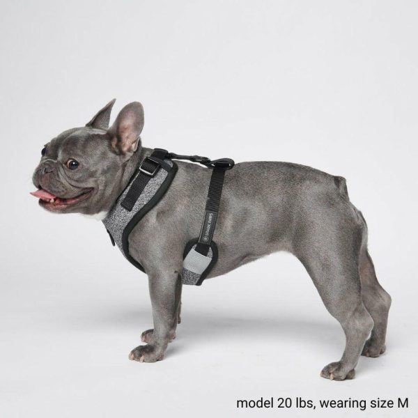 Ultra-Soft Activewear Harness – Grey | Spark Paws Activewear Harness Activewear Harness Activewear Harness