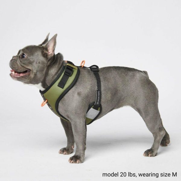 Ultra-Soft Activewear Harness Set – Green | Spark Paws Activewear Harness Activewear Harness Activewear Harness