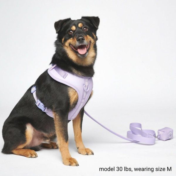 Ultra-Soft Activewear Harness Set – Lilac | Spark Paws Activewear Harness Activewear Harness Activewear Harness