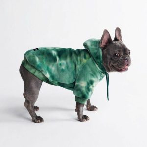 Velvet Dog Hoodie – Emerald Green | Spark Paws Dog and Owner Matching Sets Dog & Owner Matching Sets Dog & Owner Matching Sets