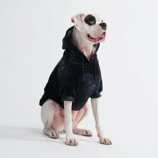 Velvet Dog Hoodie – Obsidian Black | Spark Paws Dog and Owner Matching Sets Dog & Owner Matching Sets Dog & Owner Matching Sets