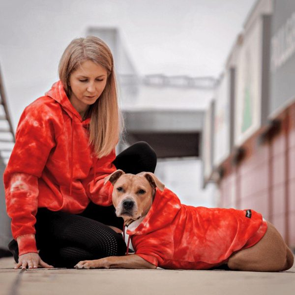 Velvet Dog Hoodie – Ruby Red | Spark Paws Dog and Owner Matching Sets Dog & Owner Matching Sets Dog & Owner Matching Sets