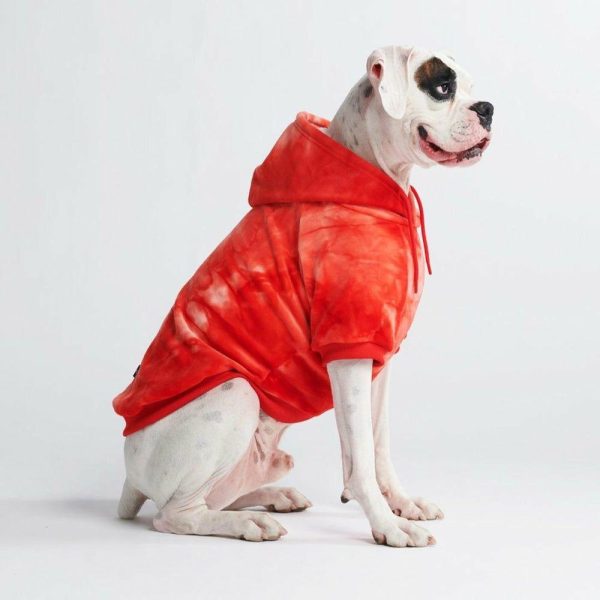 Velvet Dog Hoodie – Ruby Red | Spark Paws Dog and Owner Matching Sets Dog & Owner Matching Sets Dog & Owner Matching Sets