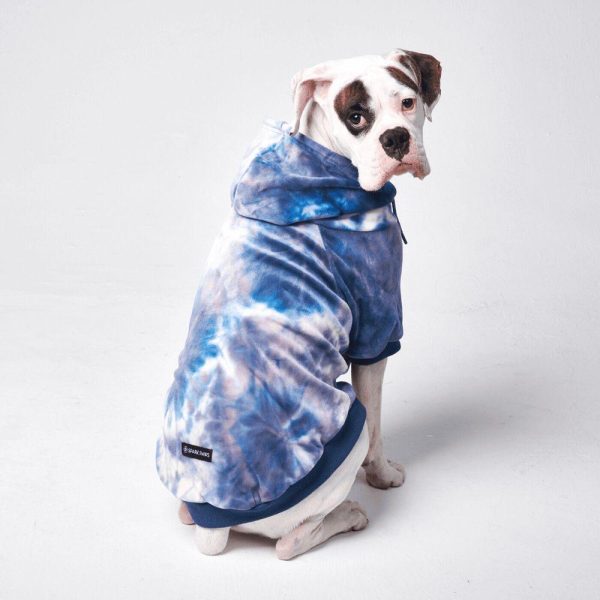 Velvet Dog Hoodie – Sapphire Blue (SIZE S) | Spark Paws Dog and Owner Matching Sets Dog & Owner Matching Sets Dog & Owner Matching Sets