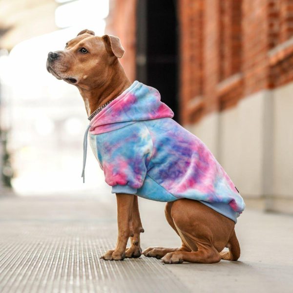 Velvet Dog Hoodie – Snow Cone | Spark Paws Dog and Owner Matching Sets Dog & Owner Matching Sets Dog & Owner Matching Sets