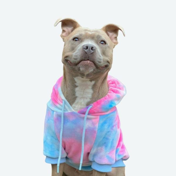 Velvet Dog Hoodie – Snow Cone | Spark Paws Dog and Owner Matching Sets Dog & Owner Matching Sets Dog & Owner Matching Sets