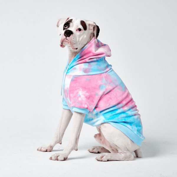 Velvet Dog Hoodie – Snow Cone | Spark Paws Dog and Owner Matching Sets Dog & Owner Matching Sets Dog & Owner Matching Sets