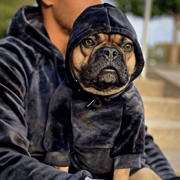 Velvet Human Hoodie – Obsidian Black | Spark Paws Dog and Owner Matching Sets Dog & Owner Matching Sets Dog & Owner Matching Sets