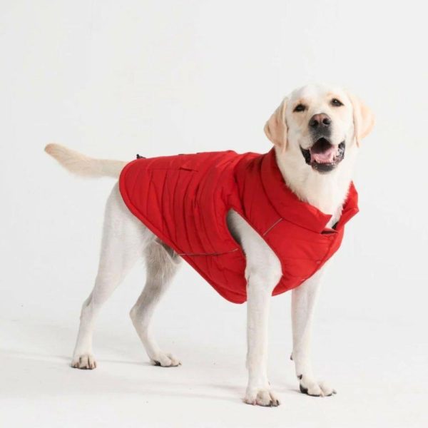 WarmShield Water-Resistant Jacket – Red (SIZE S) | Spark Paws Dog Jacket Coat Dog Jacket Coat Dog Jacket Coat