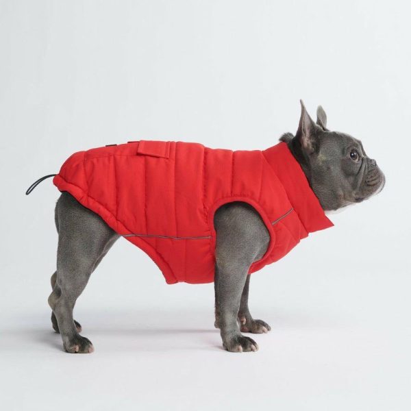 WarmShield Water-Resistant Jacket – Red (SIZE S) | Spark Paws Dog Jacket Coat Dog Jacket Coat Dog Jacket Coat