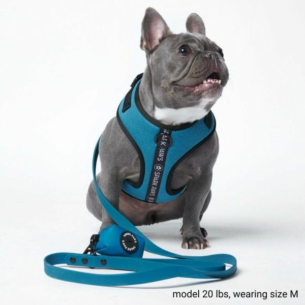 Waterproof PVC Dog Leash – Blue | Spark Paws Activewear Harness Activewear Harness Activewear Harness